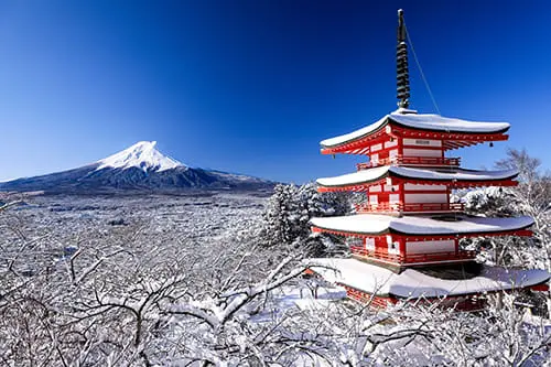 富士山観光コースの画像