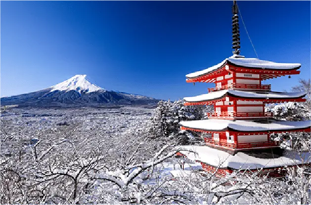 富士山観光コース風景画像